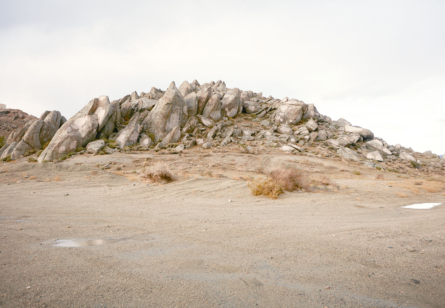 A day in Nevada