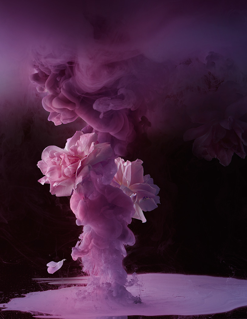 Flora