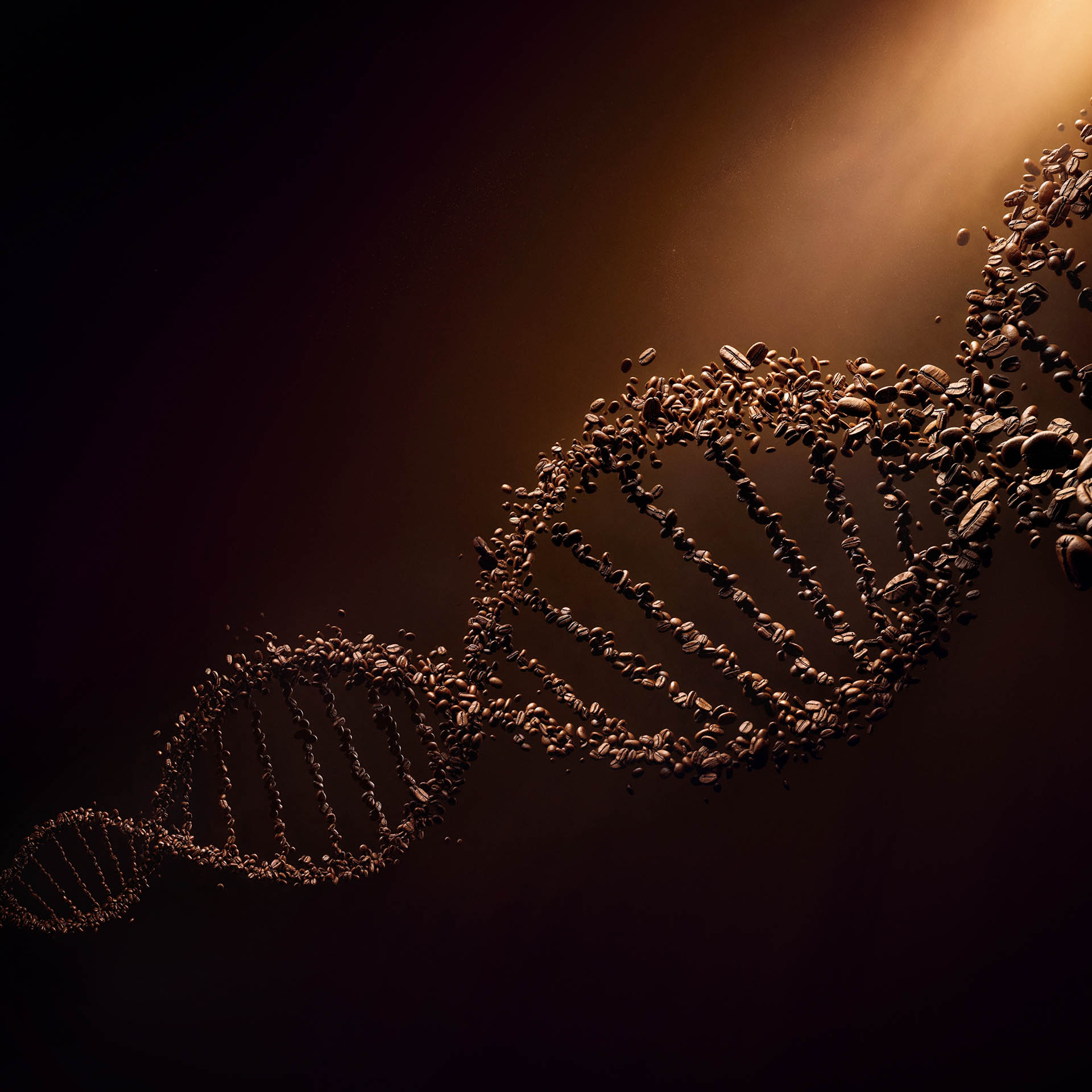 DNA
