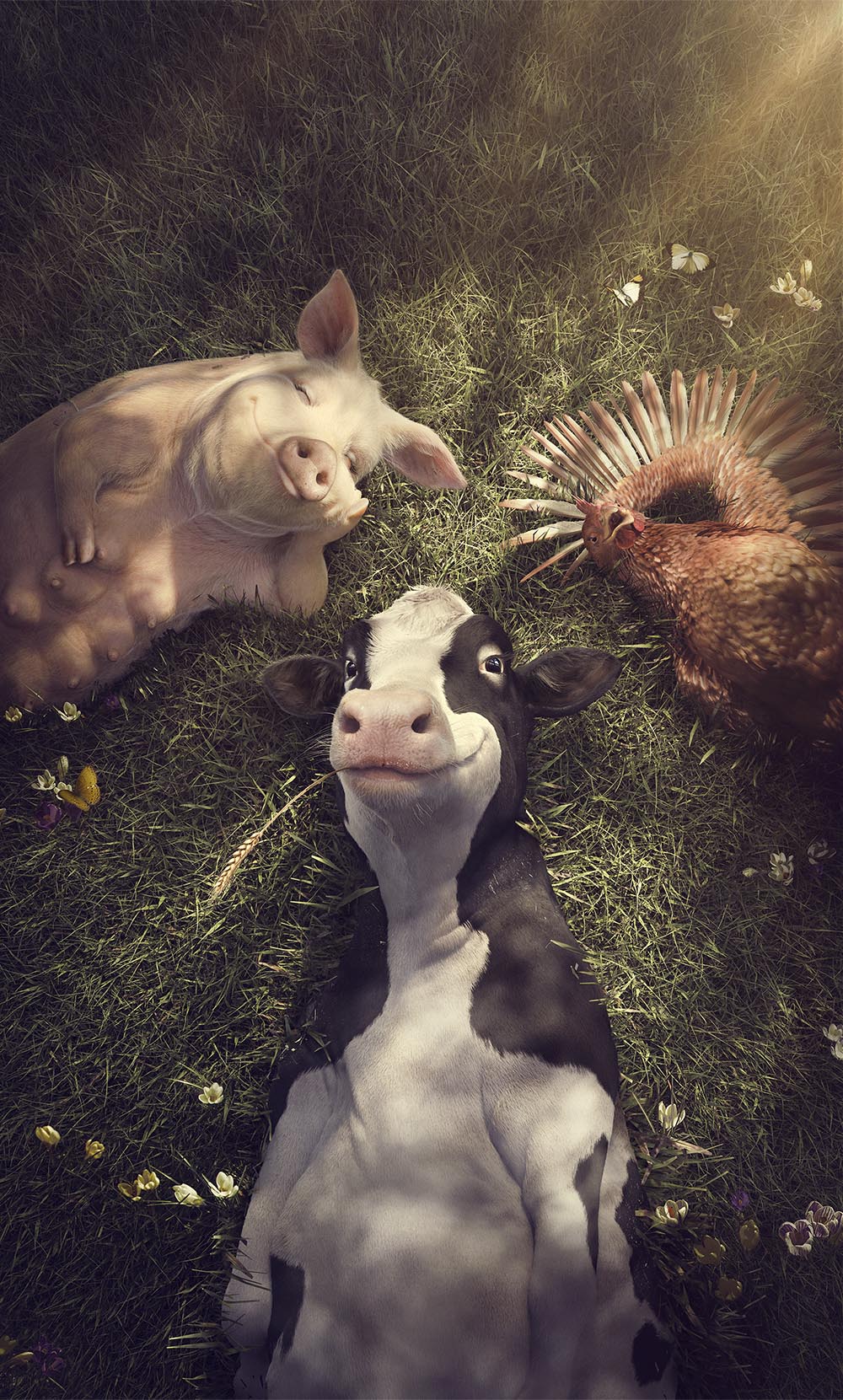 Animals in the meadow